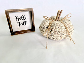 Oatmeal fall farmhouse decor crochet pumpkin