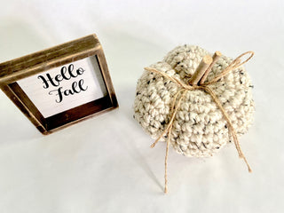 Oatmeal fall farmhouse decor crochet pumpkin