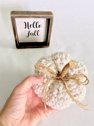 Cream sparkle fall farmhouse decor crochet pumpkin