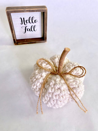 Cream sparkle fall farmhouse decor crochet pumpkin by Two Seaside Babes